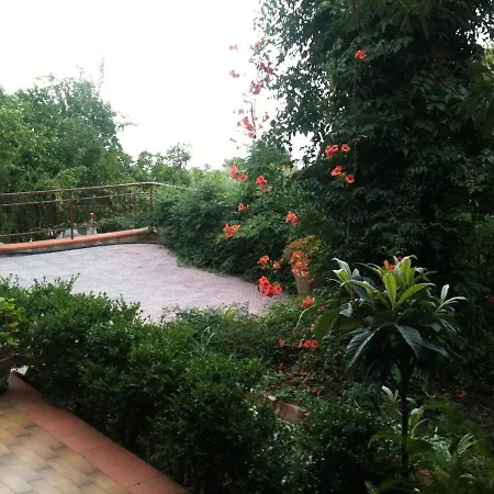 In Sea Horizon * Cefalu