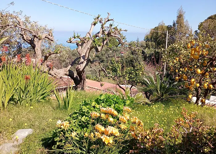 Hébergement de vacances In Sea Horizon *